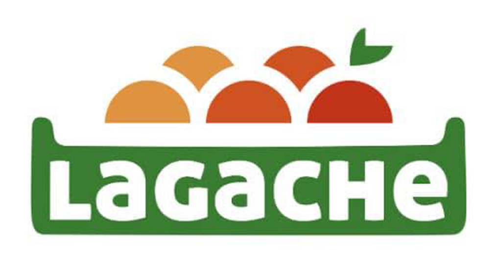 Logo-Lagache